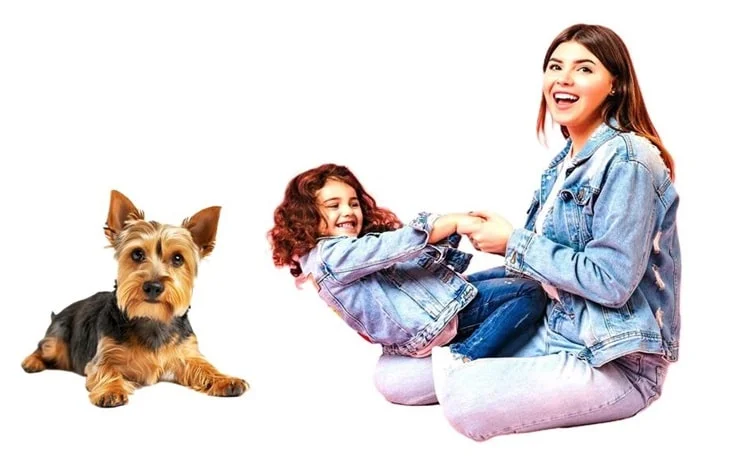 Edmonton Pest Control Services, pet and family safe pest control