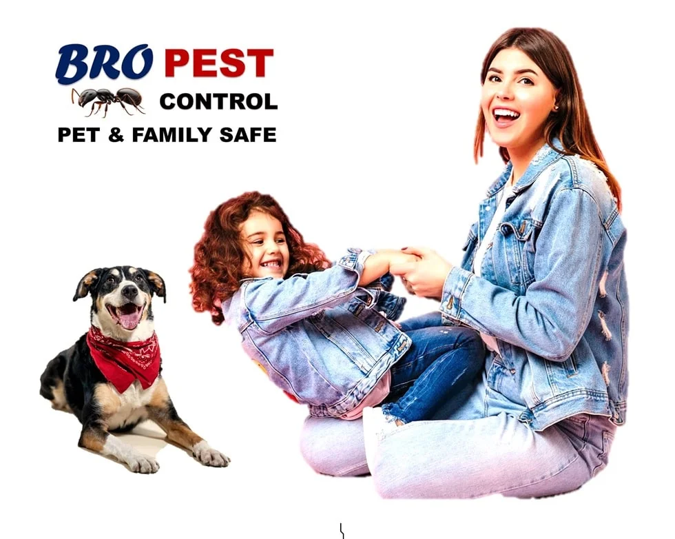 Bro Pest Control St. Albert